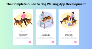 Dog Walking App Development