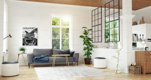 Luxury Apartment
