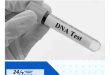 Paternity Testing in Tampa for Legal Reasons