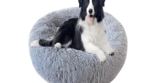 Pet Bed