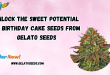 Birthday Cake Seeds