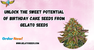 Birthday Cake Seeds