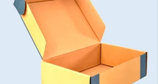 cardboard shoe boxes