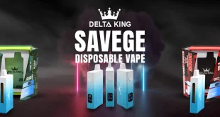 Are Delta 8 THC Vapes Right for Your Health Routine?