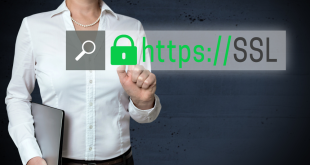 Free Vs. Paid SSL Certificates – What Should You Prefer?