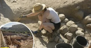 Archaeologist examining artifacts at a historical excavation site, showcasing the significance of material culture in understanding past societies.