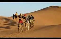 Desert Safari 35 AED