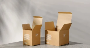 kraft box
