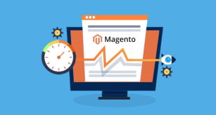 magento store