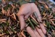 Ammunition Manufacturers in India