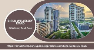 Birla Wellesley Road
