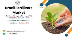 Brazil Fertilizers Market