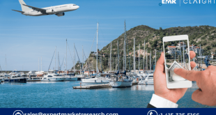 Domestic Tourism Market