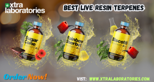 Best Live Resin Terpenes