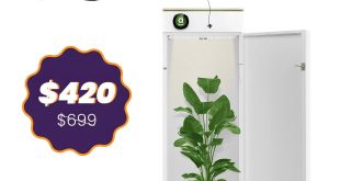 Hey Abby Grow Box Soil Edition: A sustainable gardening solution promoting 100% organic growth without fertilizers, perfect for eco-friendly home gardening