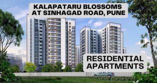 Kalapataru Blossoms