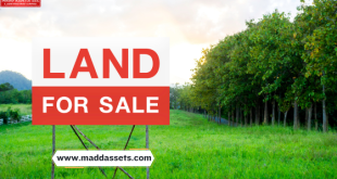 Land for Sale in Florida