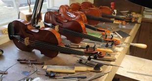 What Defines a Professional-Grade Violin