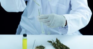 What Is The History of Cannabis Use in Medicine