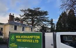 Tree Surgeon in Wolverhampton