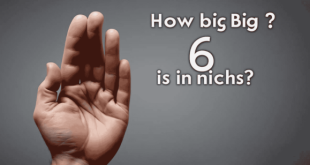 How Big Is 6 Inches
