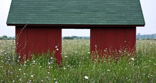 long island sheds