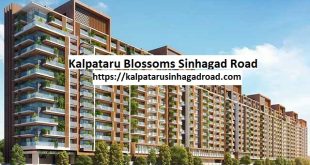 KalpataruBlossoms, KalpataruSinhagadRoad, PuneRealEstate, LuxuryLivingPune, KalpataruApartments, SinhagadRoadProperties, RealEstateInvesting, KalpataruHomes, PuneApartments, UrbanLivingPune, PuneResidentialProject, kalpataru Blossoms sinhagad road, kalpataru Blossoms sinhagad road Apartments, kalpataru Blossoms sinhagad road Pune, kalpataru Blossoms sinhagad road Location, kalpataru Blossoms sinhagad road Price, kalpataru Blossoms sinhagad road Floor Plan,