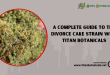 Divorce Cake Strain