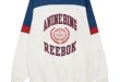 Anine Bing Reebok Sweatshirt