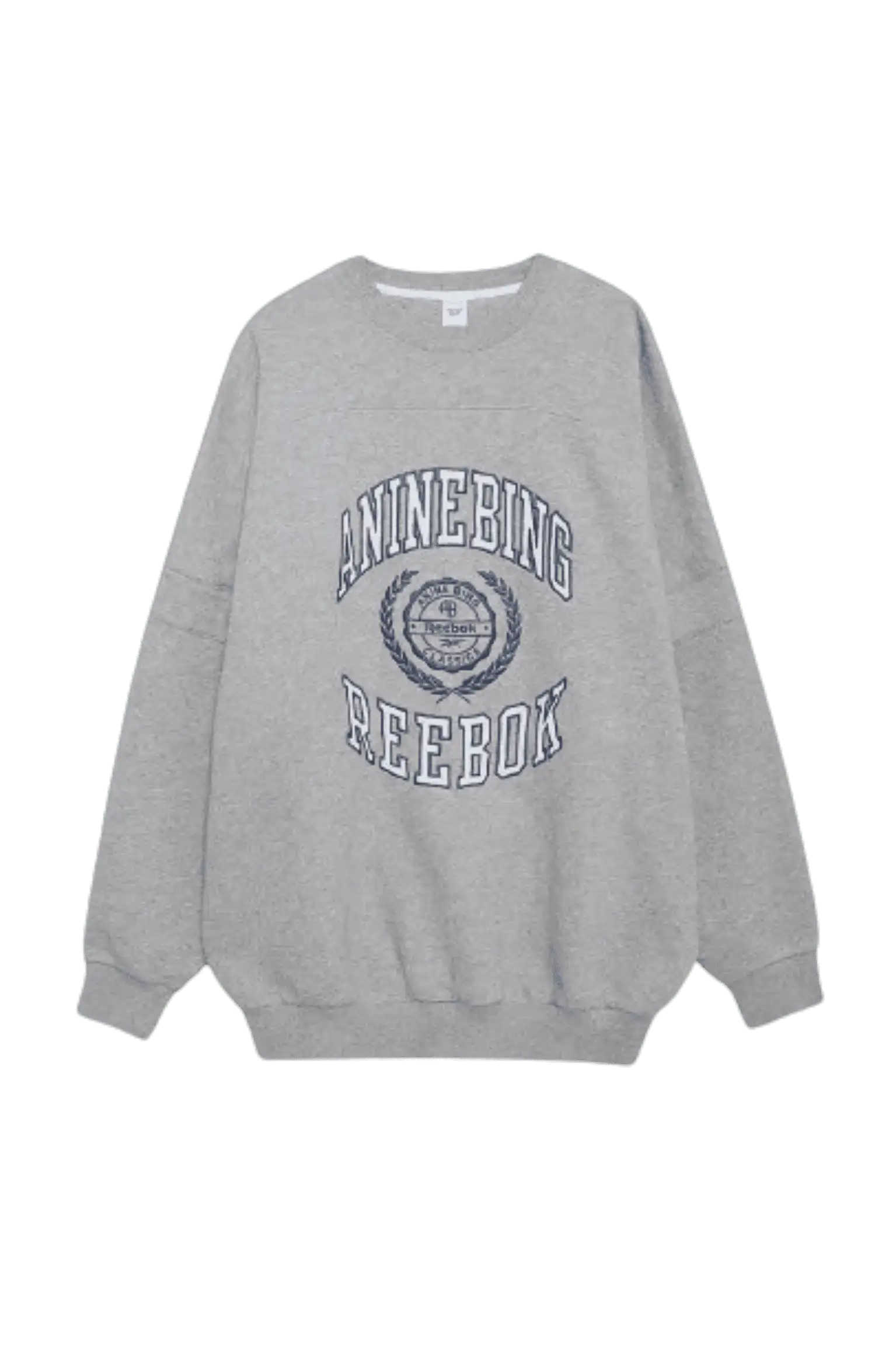 Anine Bing Reebok Sweatshirt