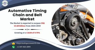 Automotive Timing Chain and Belt Market