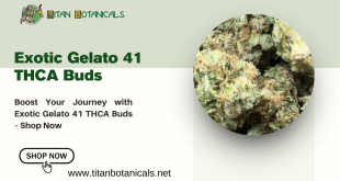 Exotic Gelato 41 THCA Buds