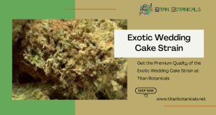 Exotic Wedding Cake Strain