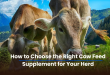 Cow Feed Supplement