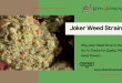 Joker Weed Strain