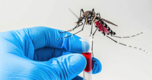 dengue test in Delhi