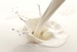 High Calcium, Low Fat: The Perfect Milk Choice for a Healthier Lifestyle