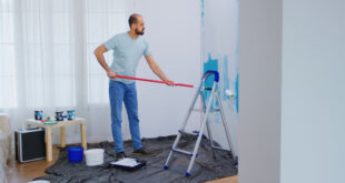 Transform Your Space with Expert Interior Painters in San Antonio