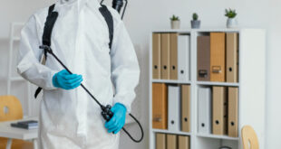 Effective and Modern Pest Control Services in Flowery Branch