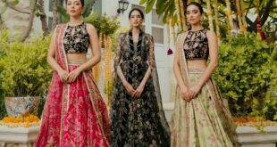 pakistani lehenga choli design