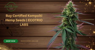 Kompolti Hemp Seeds