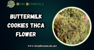 Buttermilk Cookies THCA Flower