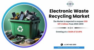 Electronic Waste Recycling Market