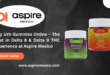 Buy Urb Gummies Online – The Best in Delta 8 & Delta 9 THC Experience at Aspire Mexico