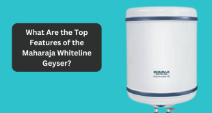 What Are the Top Features of the Maharaja Whiteline Geyser