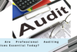 Professional Auditing Services In Dubai