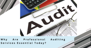 Professional Auditing Services In Dubai