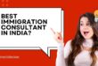 best immigration consultants in nehru place