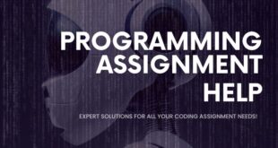 Coding Assignment Help